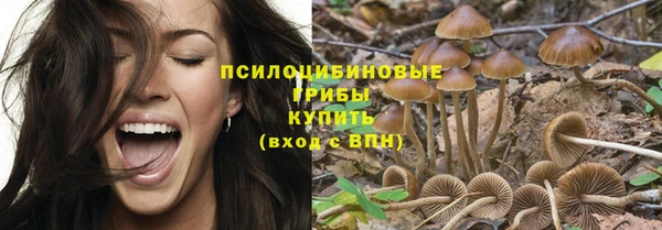 МДМА Дмитриев